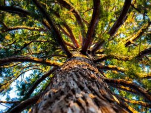 Outsourcing and Third-Party Risk Management - Leaman Crellin