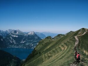Are MRTs Truly Aware of Their Responsibilities? - Leaman Crellin